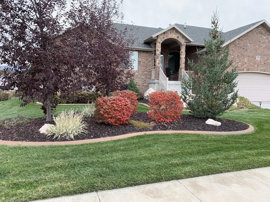 Front yard mowed with clean bed edges