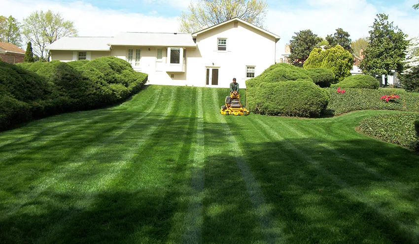 Fresh-striped backyard lawn, mowed by All Seasons in Roy, UT