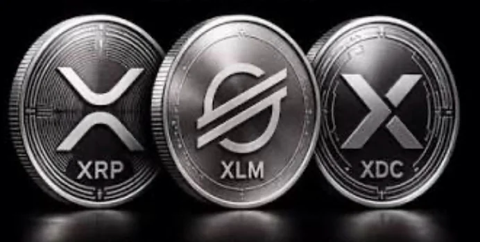 XRP, XLM and XDC coins, all accepted